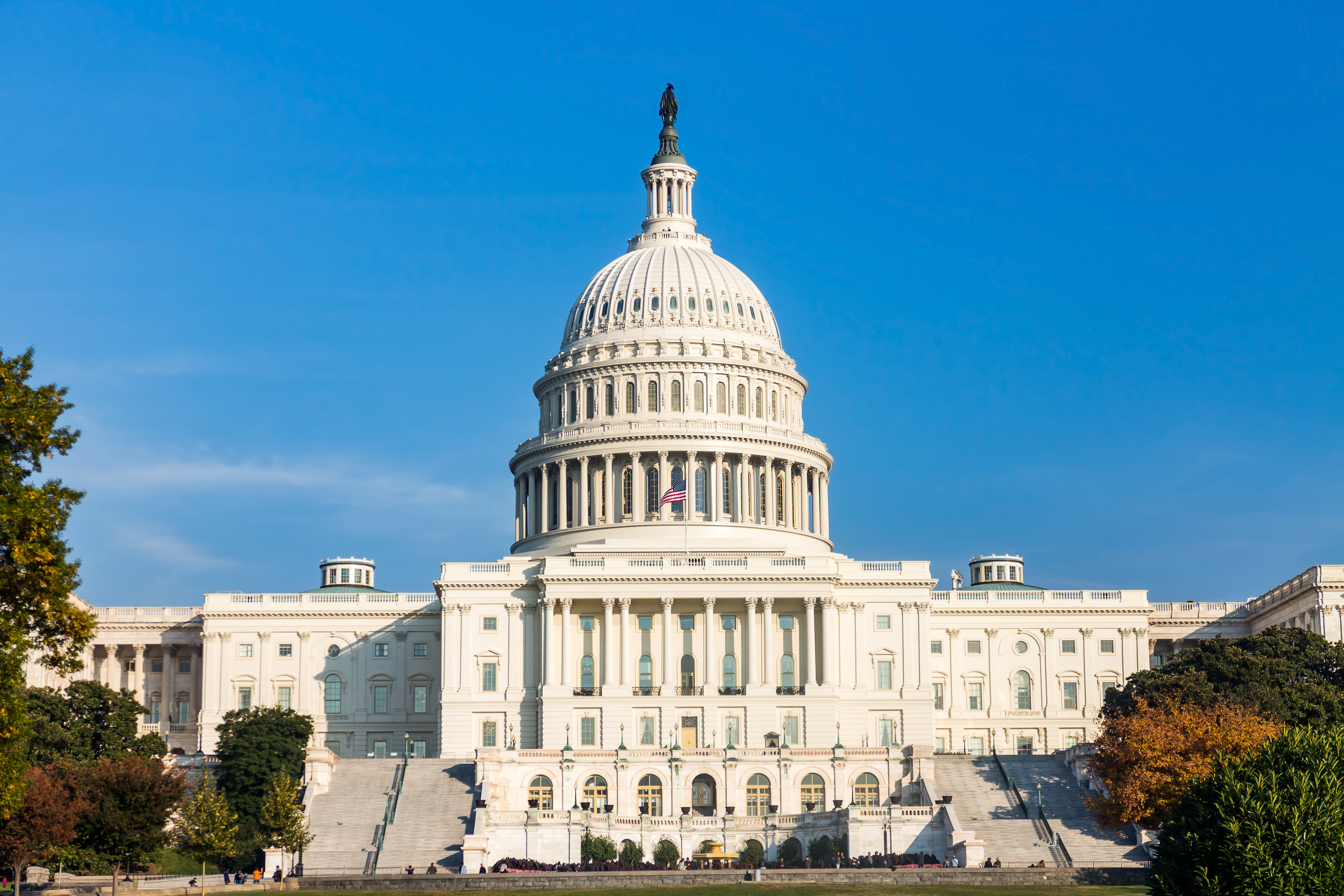 How to Run for Congress: A Step-by-Step Guide for Democrats